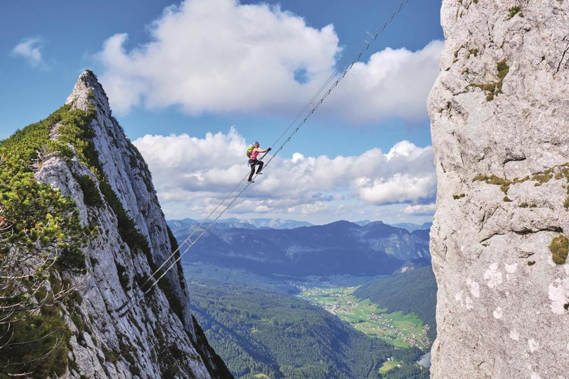 Elfi Appartement Gosau