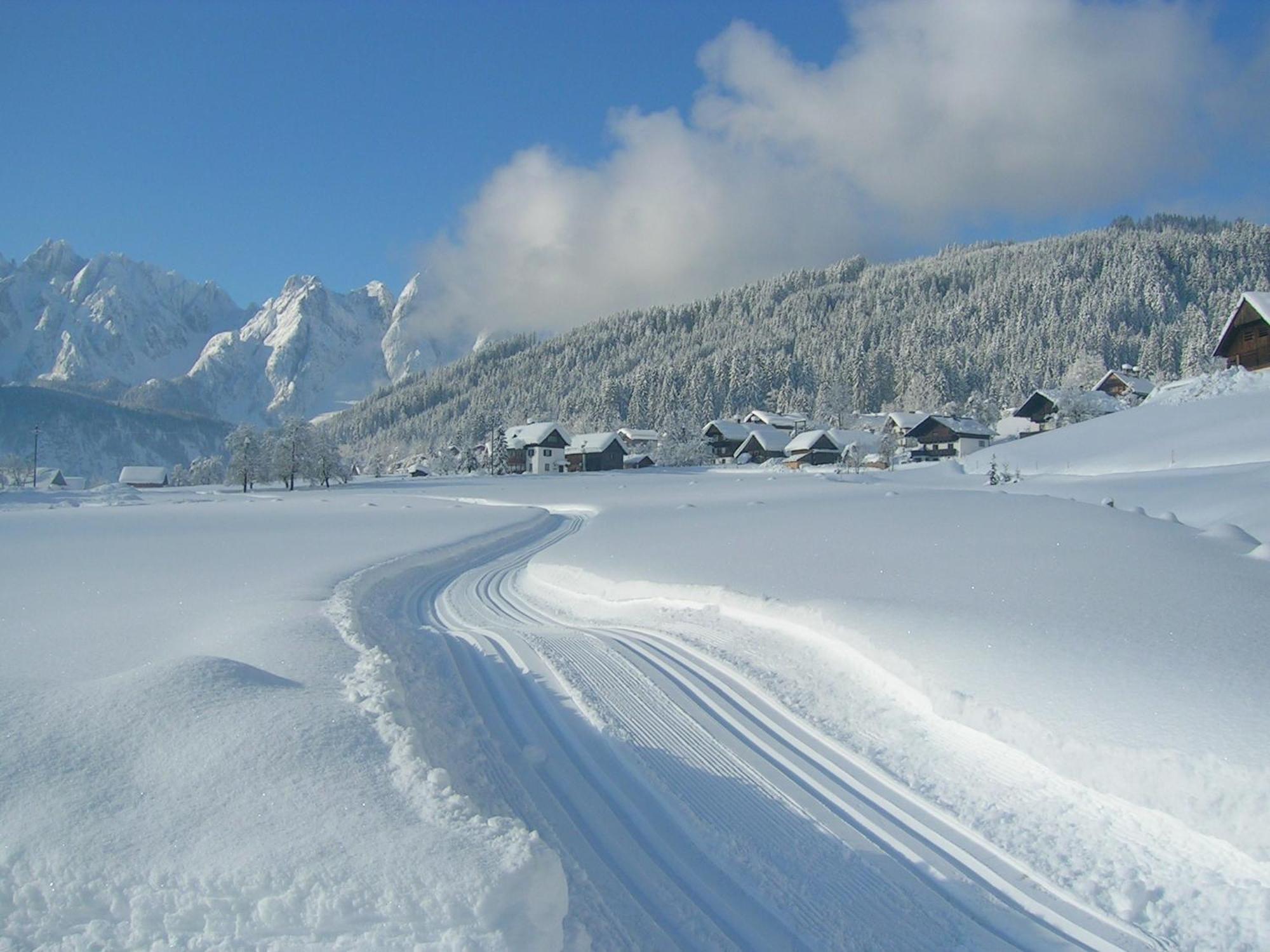 Appartement Elfi Gosau